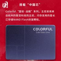 七彩虹SL500 256G SSD固态硬盘