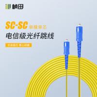 桢田GNT-540SS1-3 3米单模单芯光纤跳线 电信级 SC-SC